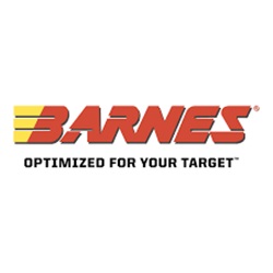 Puntas Barnes