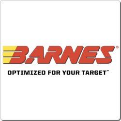Puntas Barnes